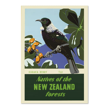 New Zealand Tui Bird poster print