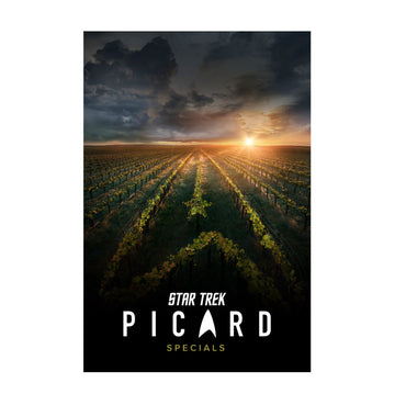 Star Trek: Picard poster print