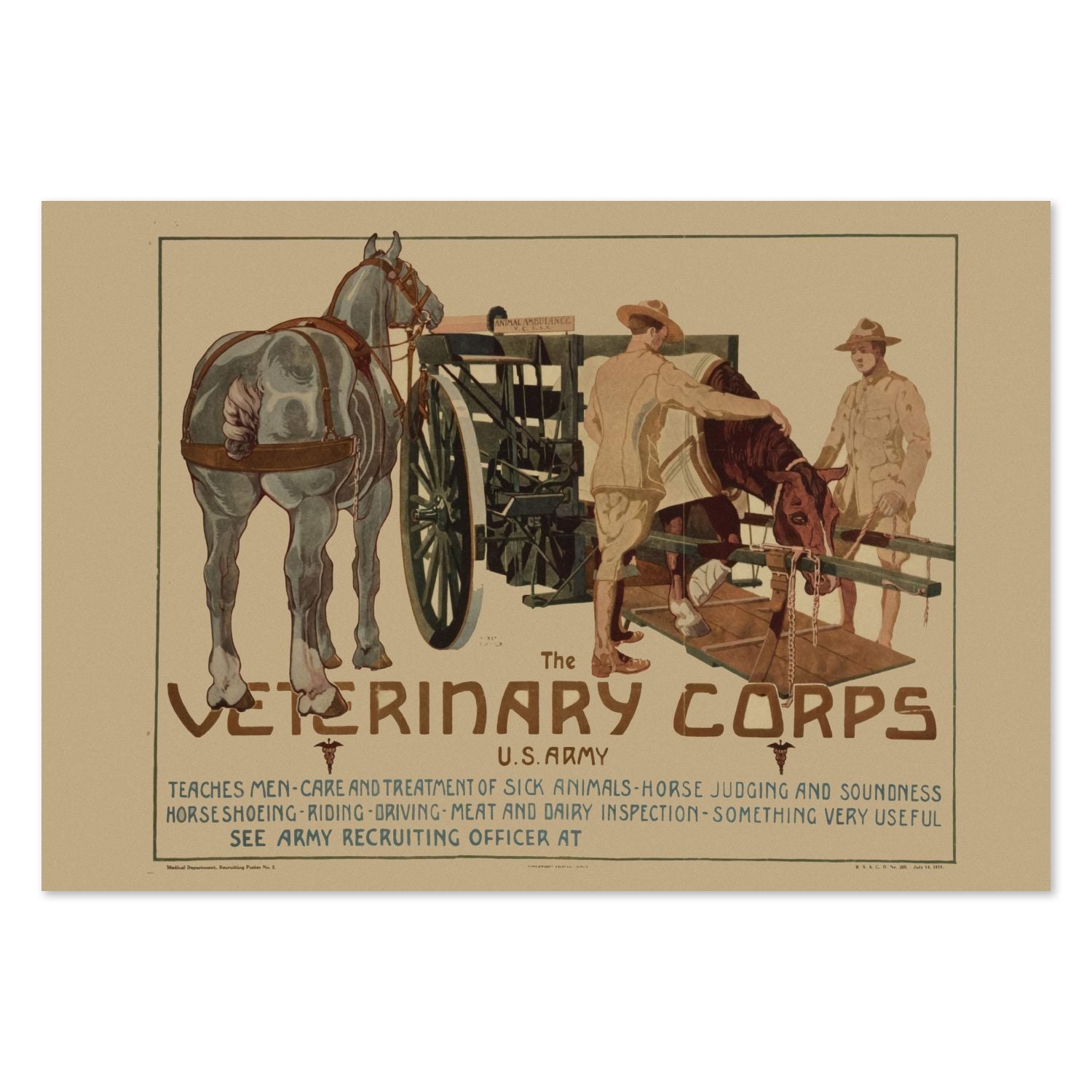 Veterinary Corps U.S. Army poster print