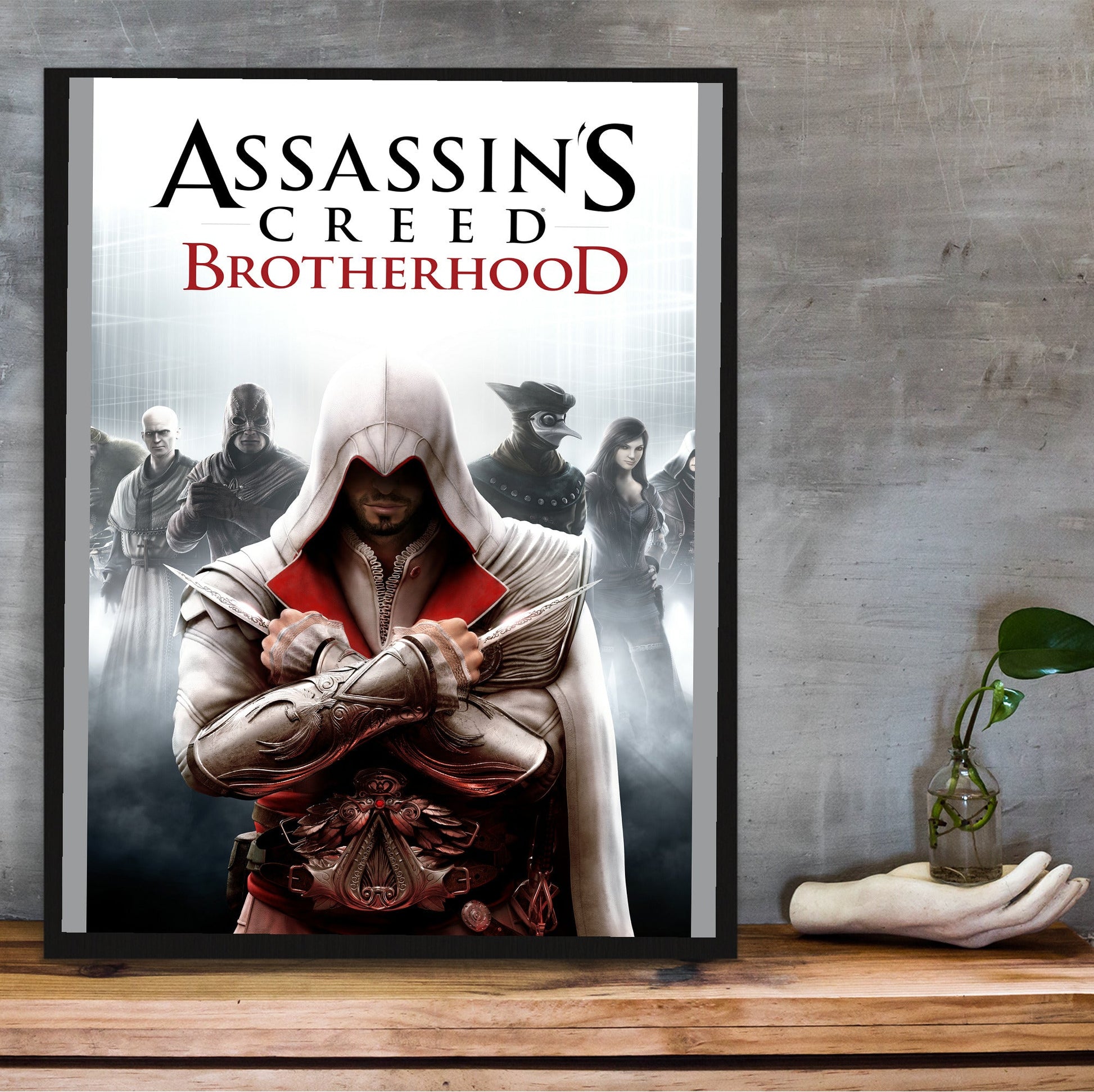 Assassin's Creed Brotherhood cover art in a black frame on a wooden shelf against concrete