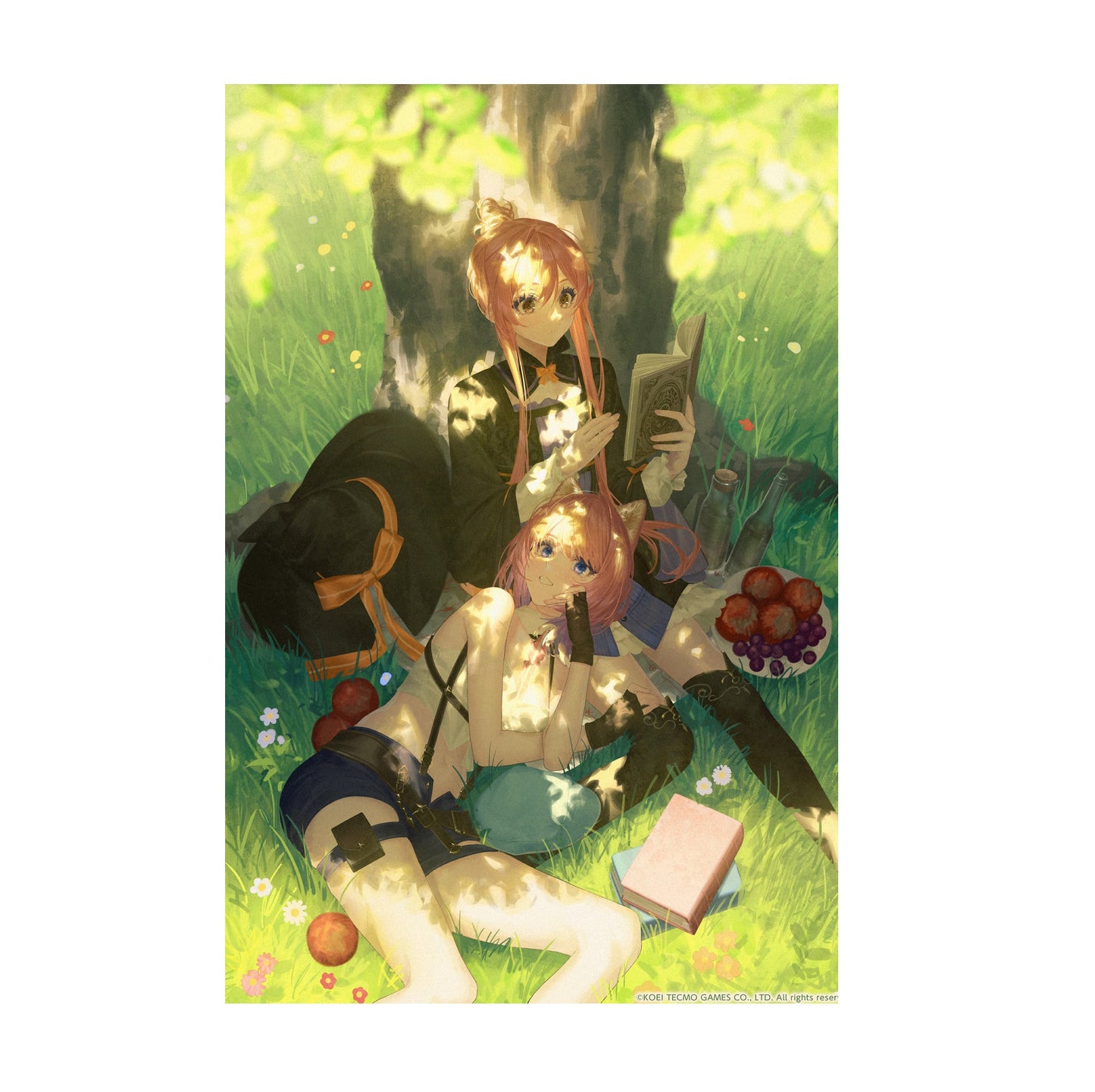 Atelier Resleriana The Red Alchemist and the White Guardian Illustration 8 print