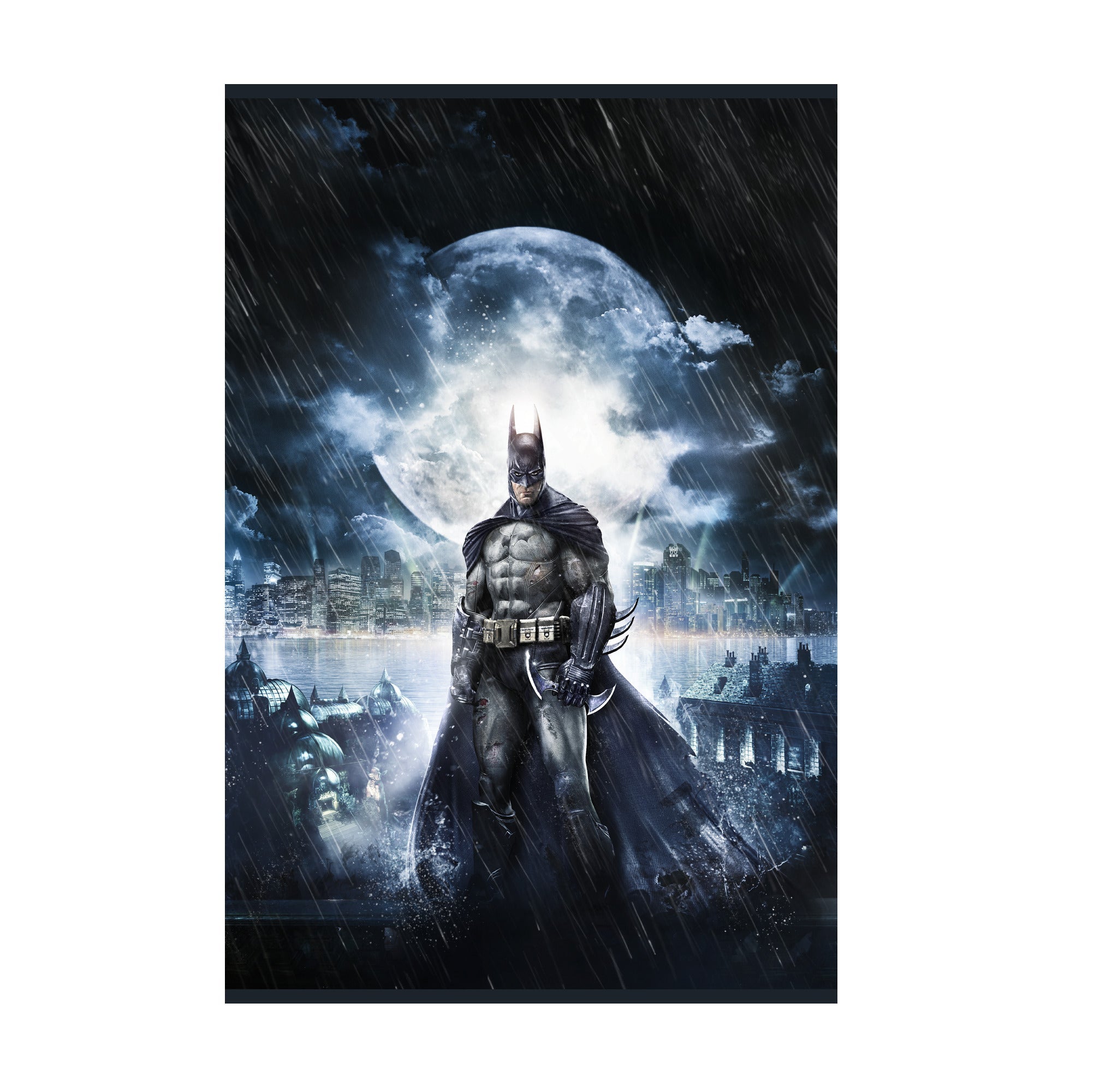 Batman Arkham Asylum official cover art poster print