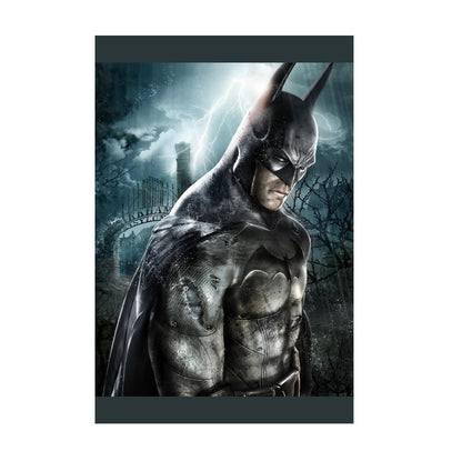 Batman Arkham Asylum official key art poster print