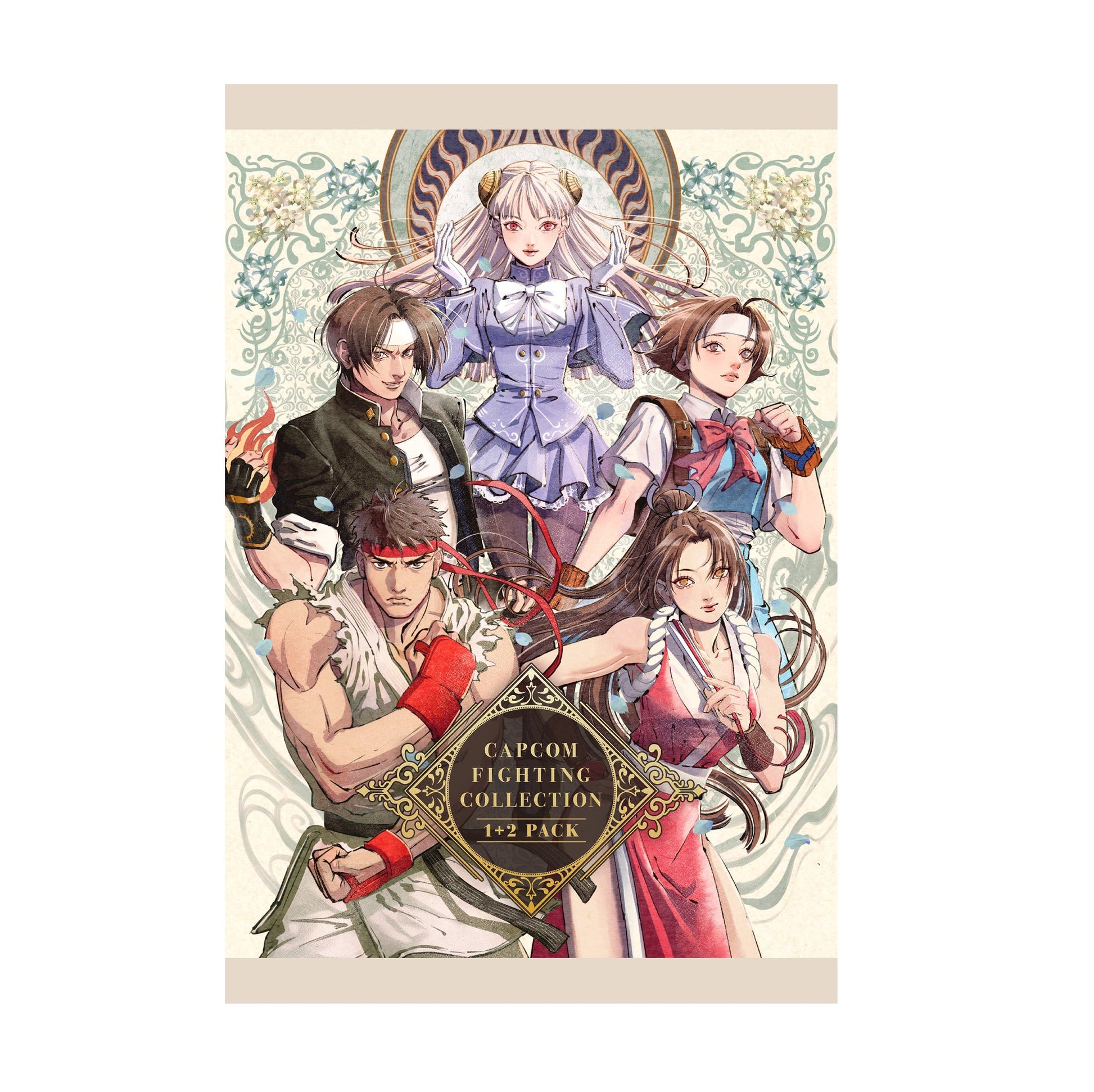 Capcom Fighting Collection 2 pack art print