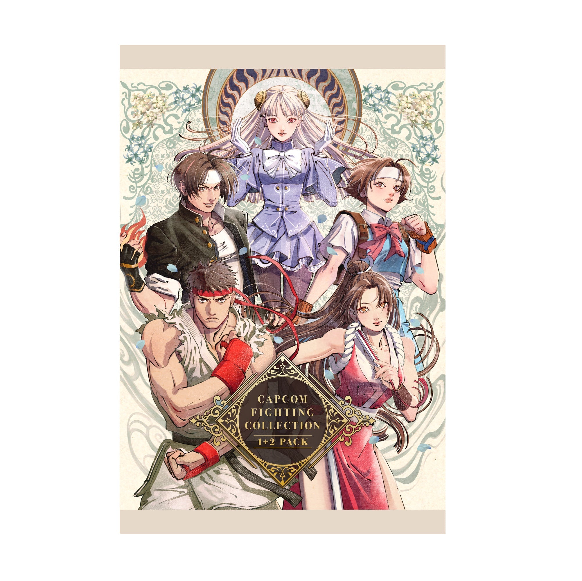 Capcom Fighting Collection 2 pack art print