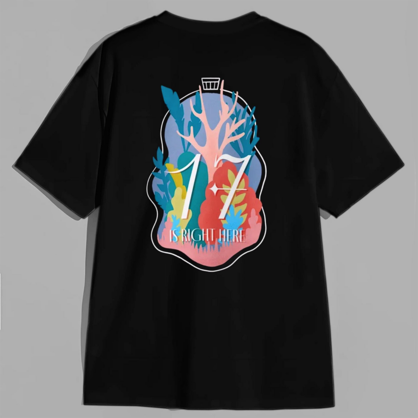 Graphic Seventeen Right Here World Tour Shirt, Seventeen Kpop Shirt