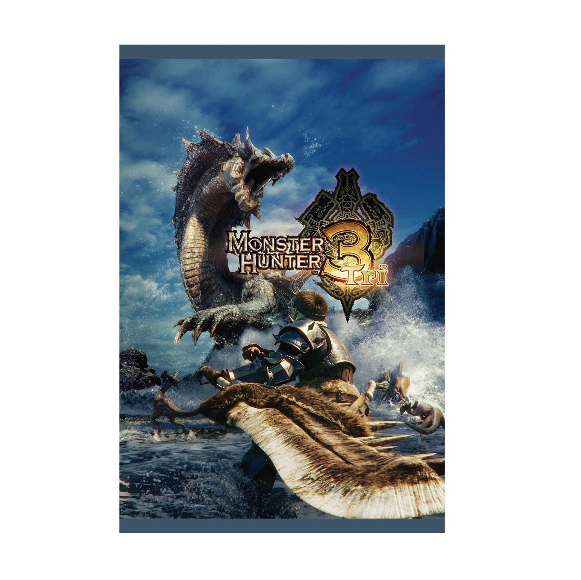Monster Hunter Tri cover art with logo print