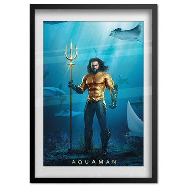 Aquaman 04 Poster | Official Art