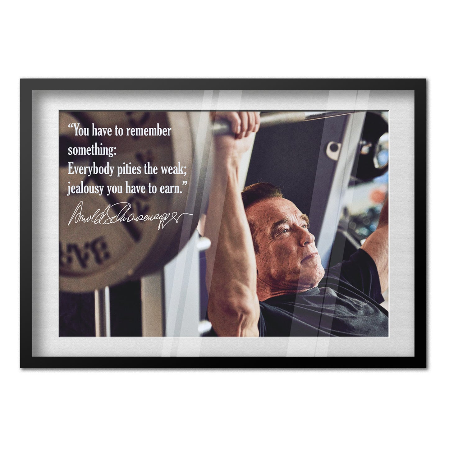 Arnold Schwarzenegger Motivational Poster 01