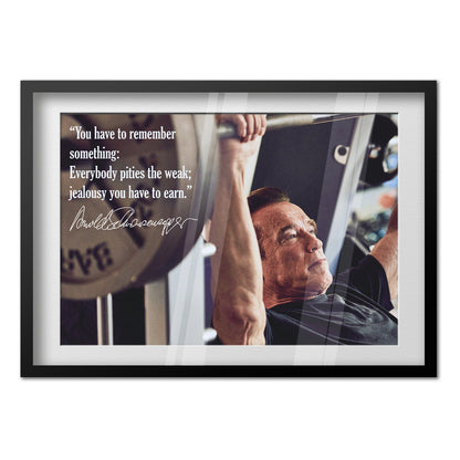 Arnold Schwarzenegger Motivational Poster 01