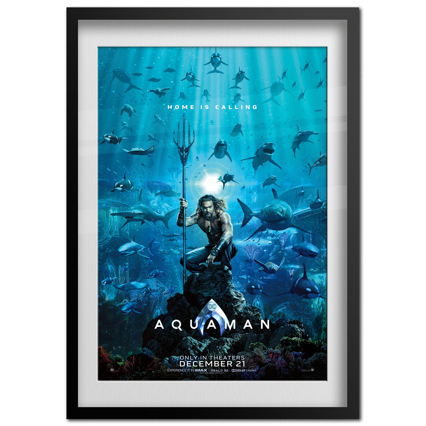 Aquaman Poster | Official Art