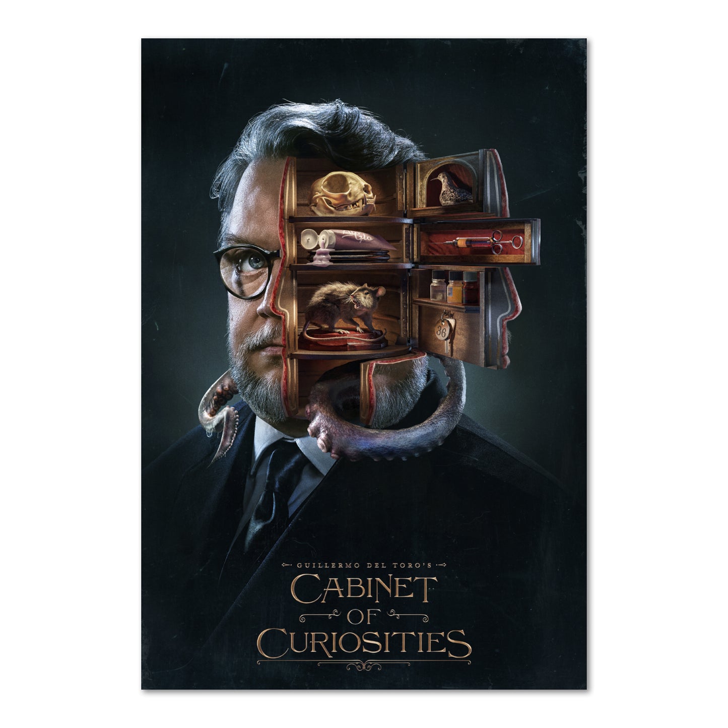 Cabinets of Curiosities Movie Poster | Official Art