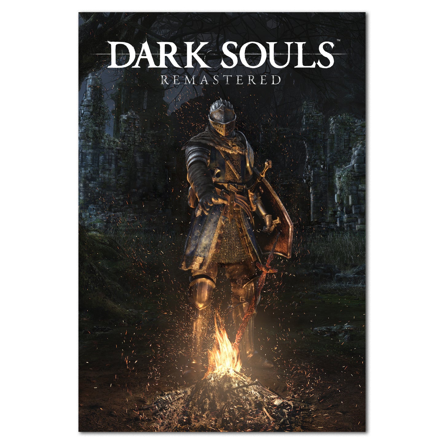 Dark Souls Remastered Game Poster | Official Art