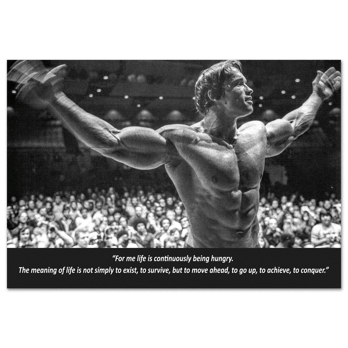 Arnold Schwarzenegger Motivational Poster