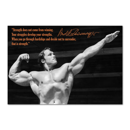 Arnold Schwarzenegger Motivational Poster 03