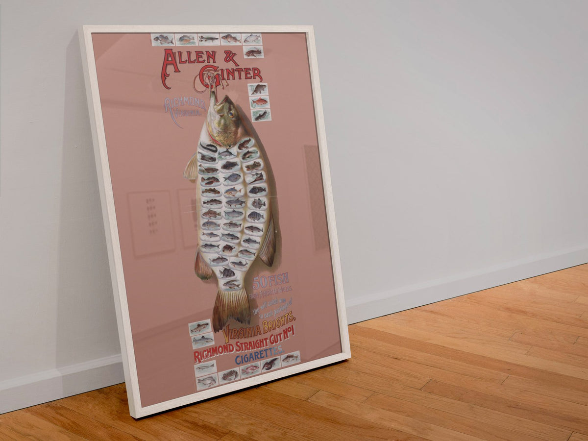 Allen and Ginter American Fish poster in a white frame leaning against a wall
