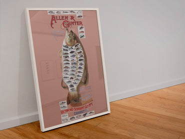 Allen and Ginter American Fish poster in a white frame leaning against a wall