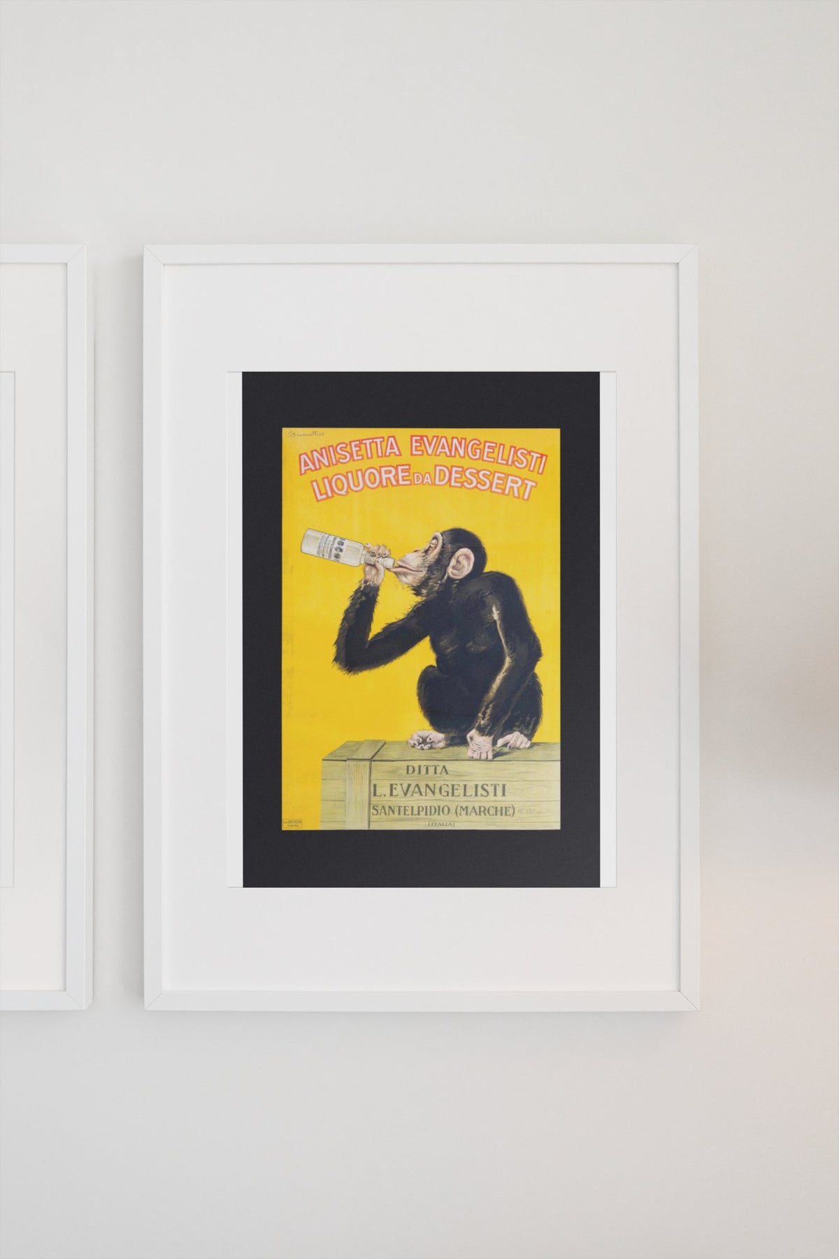 Anisetta Evangelisti 1925 monkey poster in a white frame on a light wall