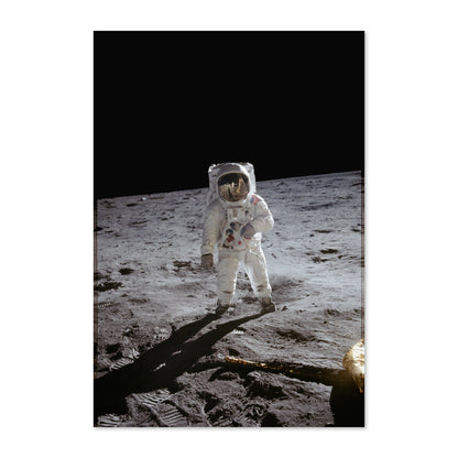 Apollo 11 Buzz Aldrin moonwalk poster print