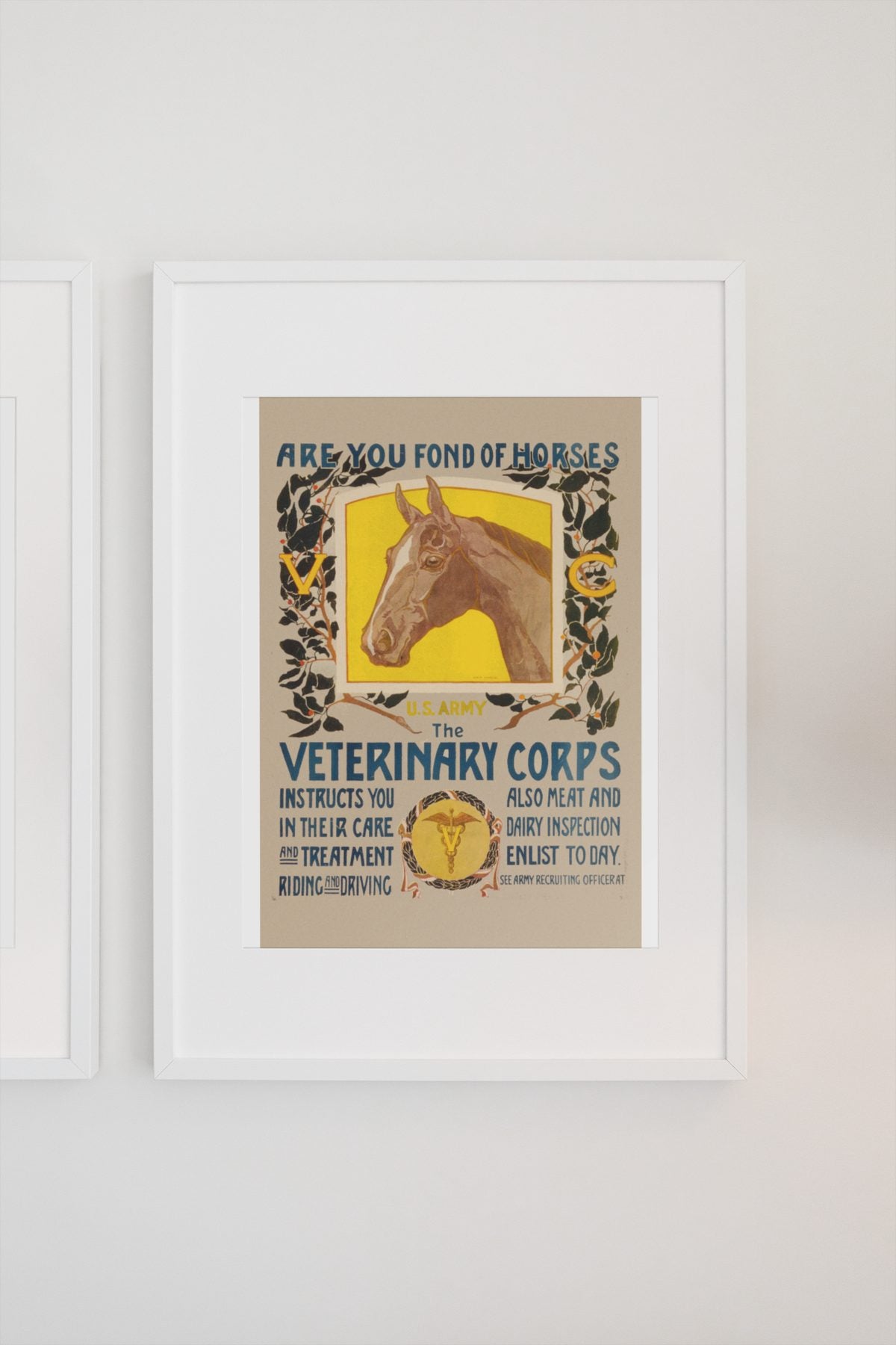 Are You Fond of Horses Veterinary Corps poster on a light wall