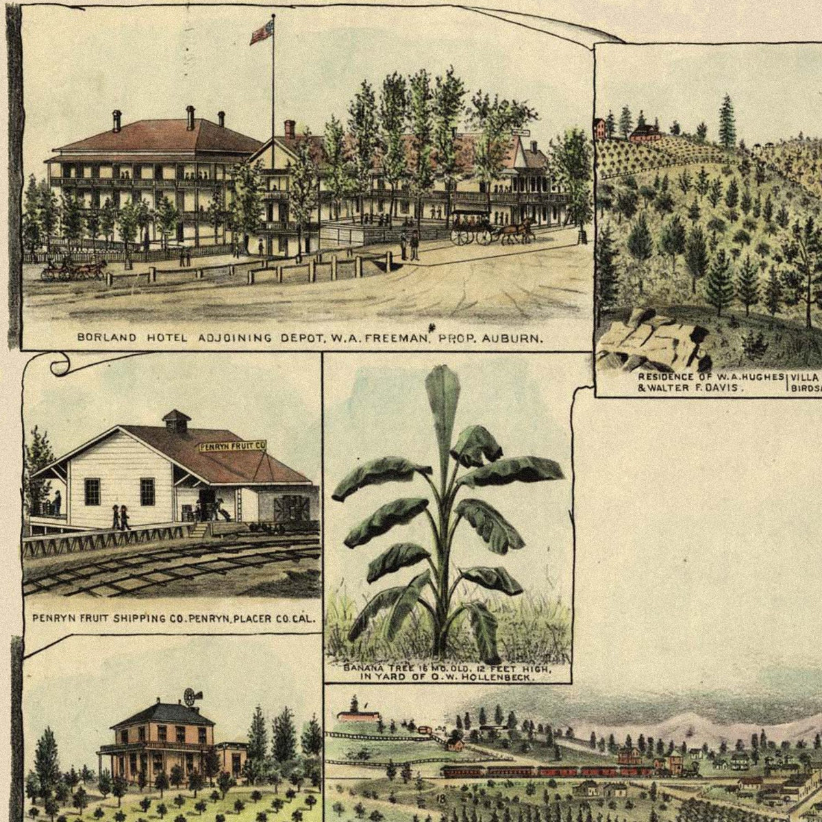 Close-up detail of the Auburn 1887 Panoramic Map print