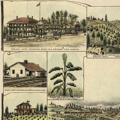 Close-up detail of the Auburn 1887 Panoramic Map print