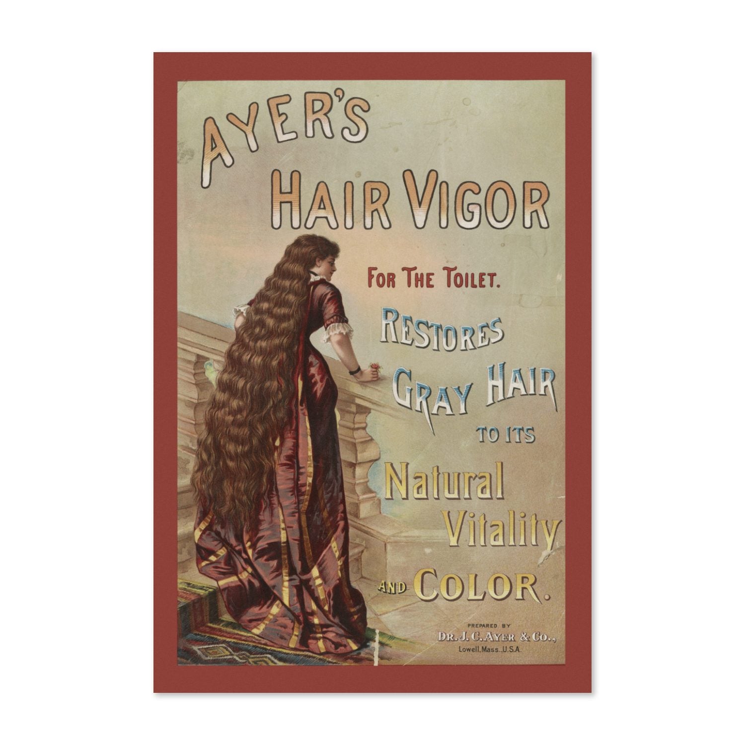 Ayers Hair Vigor poster print