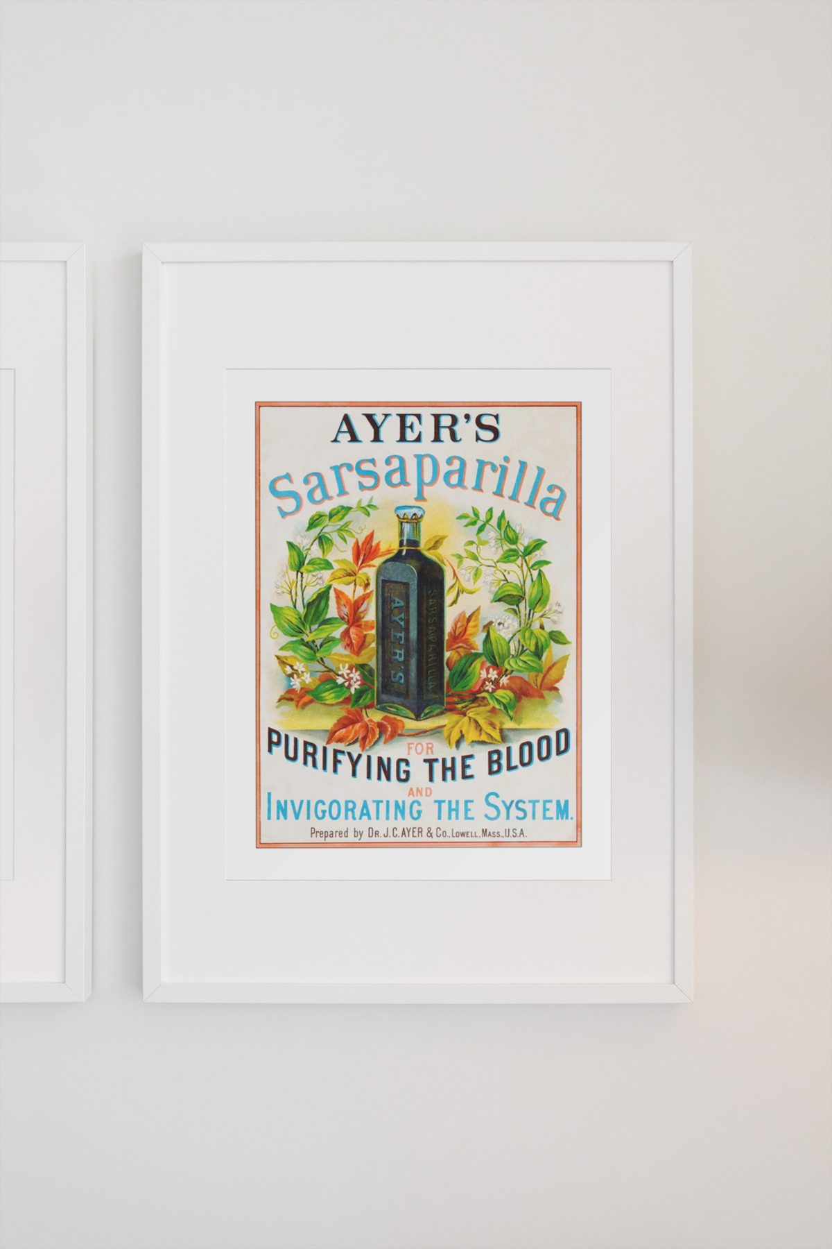 Ayers Sarsaparilla poster on a light wall