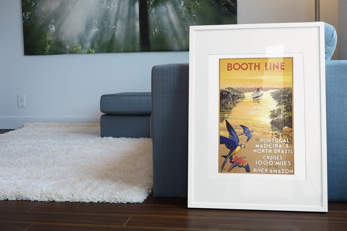 Booth Line Amazon River Cruises poster leaning beside a blue sofa