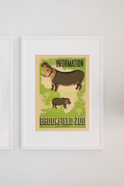 Brookfield Zoo Hippo poster on a light wall