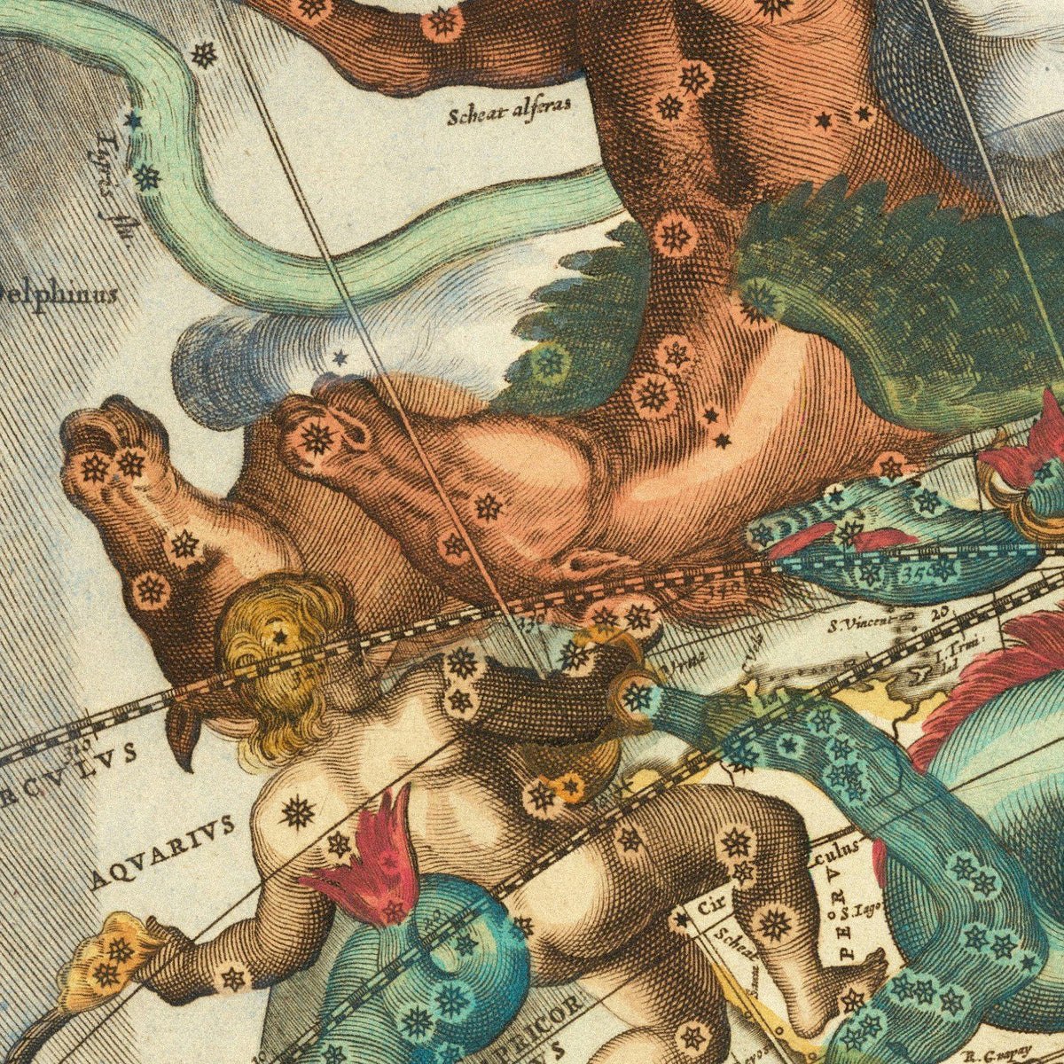 Close-up detail of the Cellarius Star Chart 1660