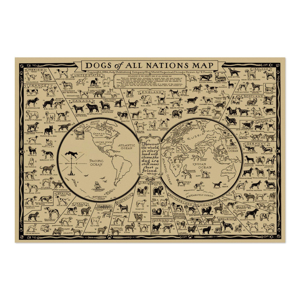 Dogs of the World 1936 Map vintage print