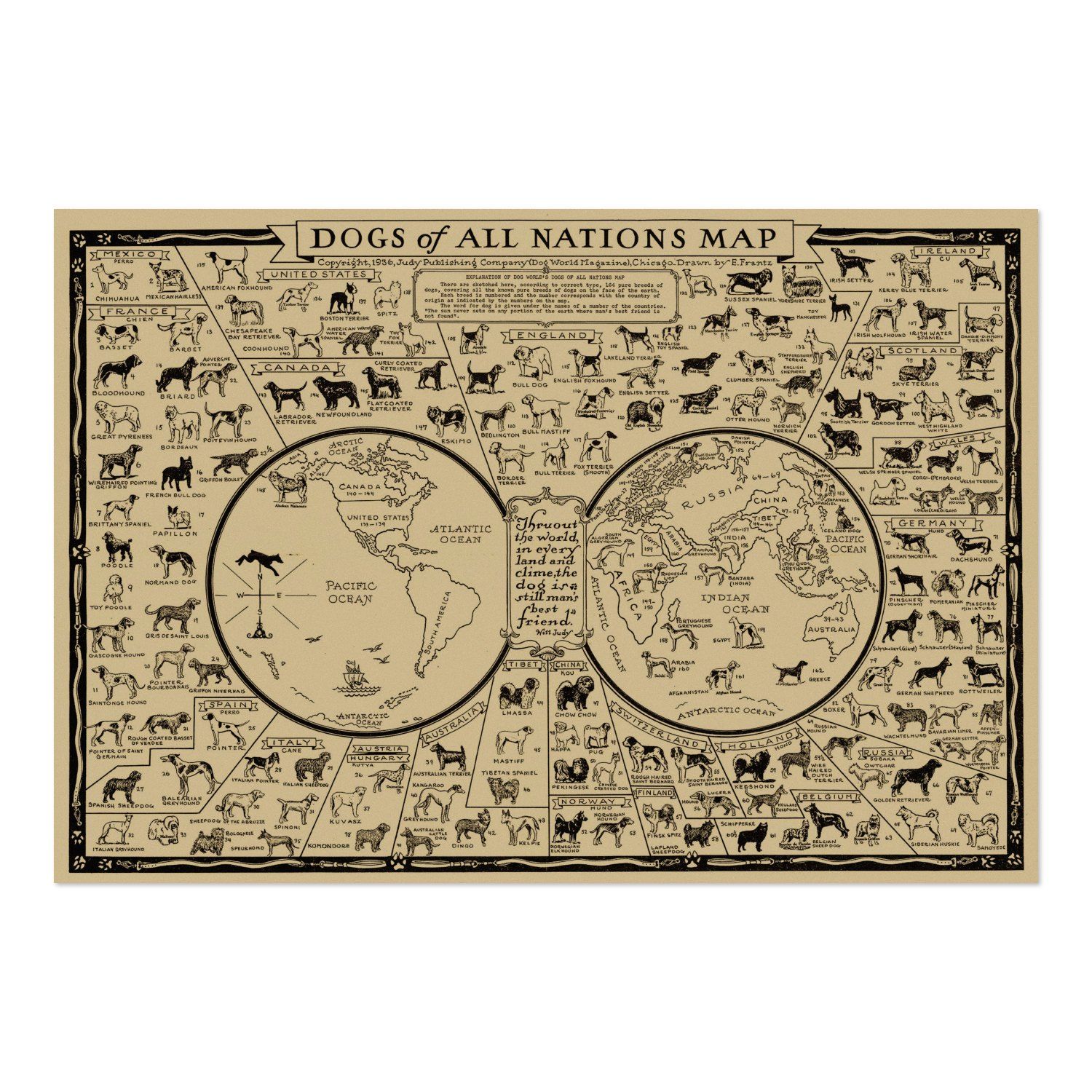 Dogs of the World 1936 Map vintage print