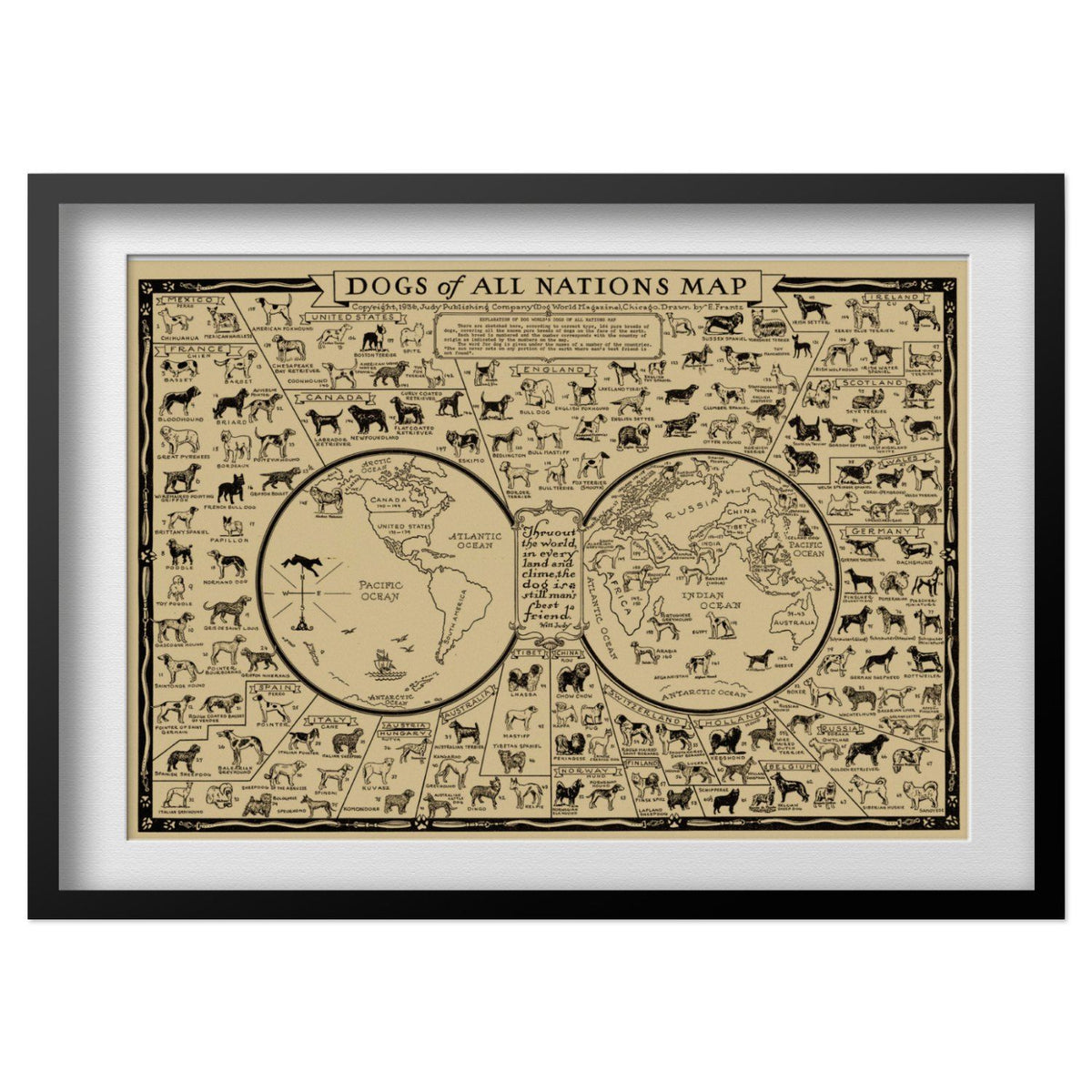 Dogs of the World 1936 Map print in a black frame with a white mat