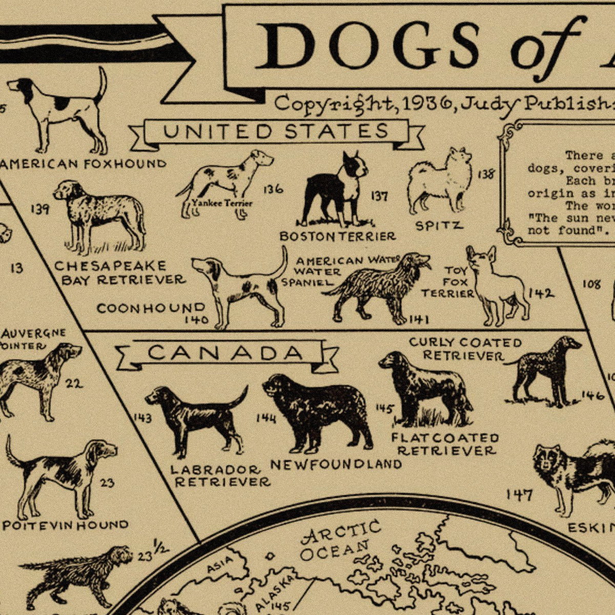 Close-up detail of the Dogs of the World 1936 Map