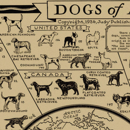 Close-up detail of the Dogs of the World 1936 Map