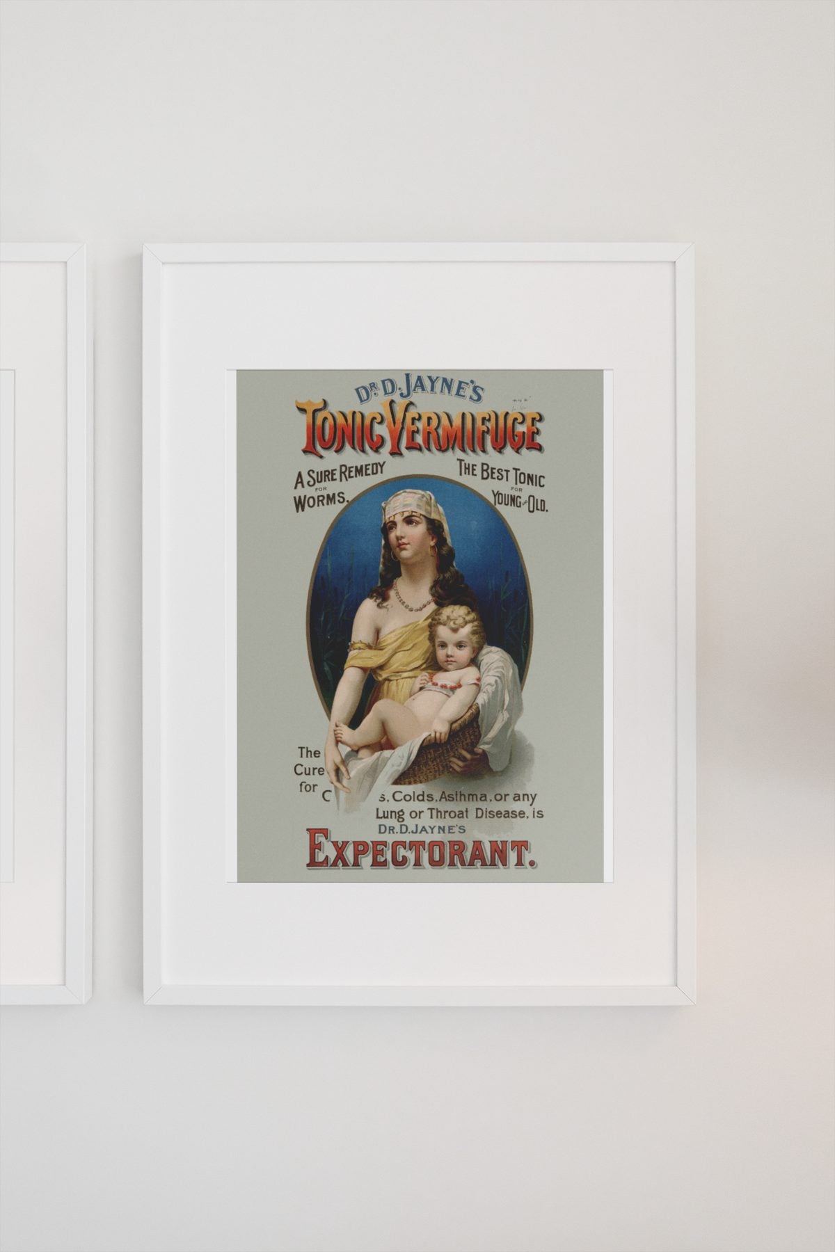 Dr Jaynes Tonic Vermifuge poster on a light wall