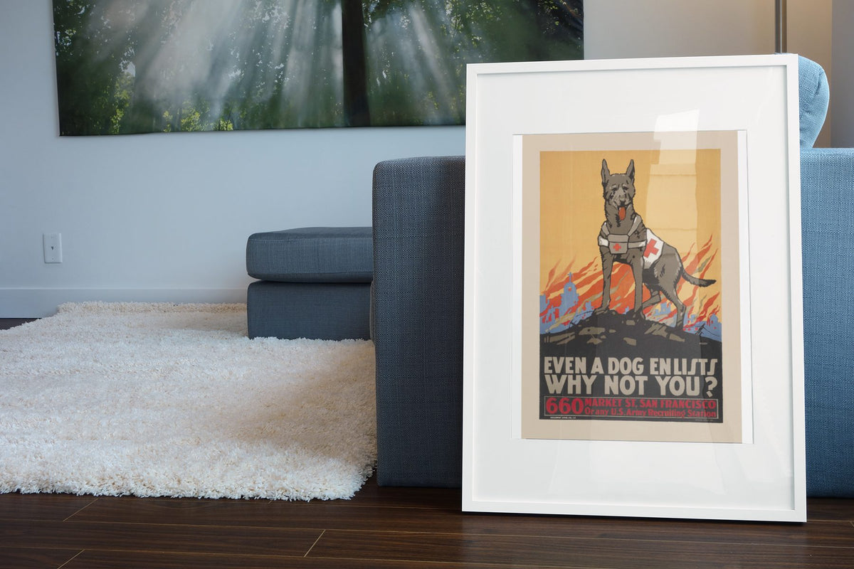 Even a Dog Enlists poster leaning beside a blue sofa