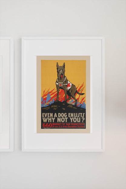 Even a Dog Enlists poster on a light wall