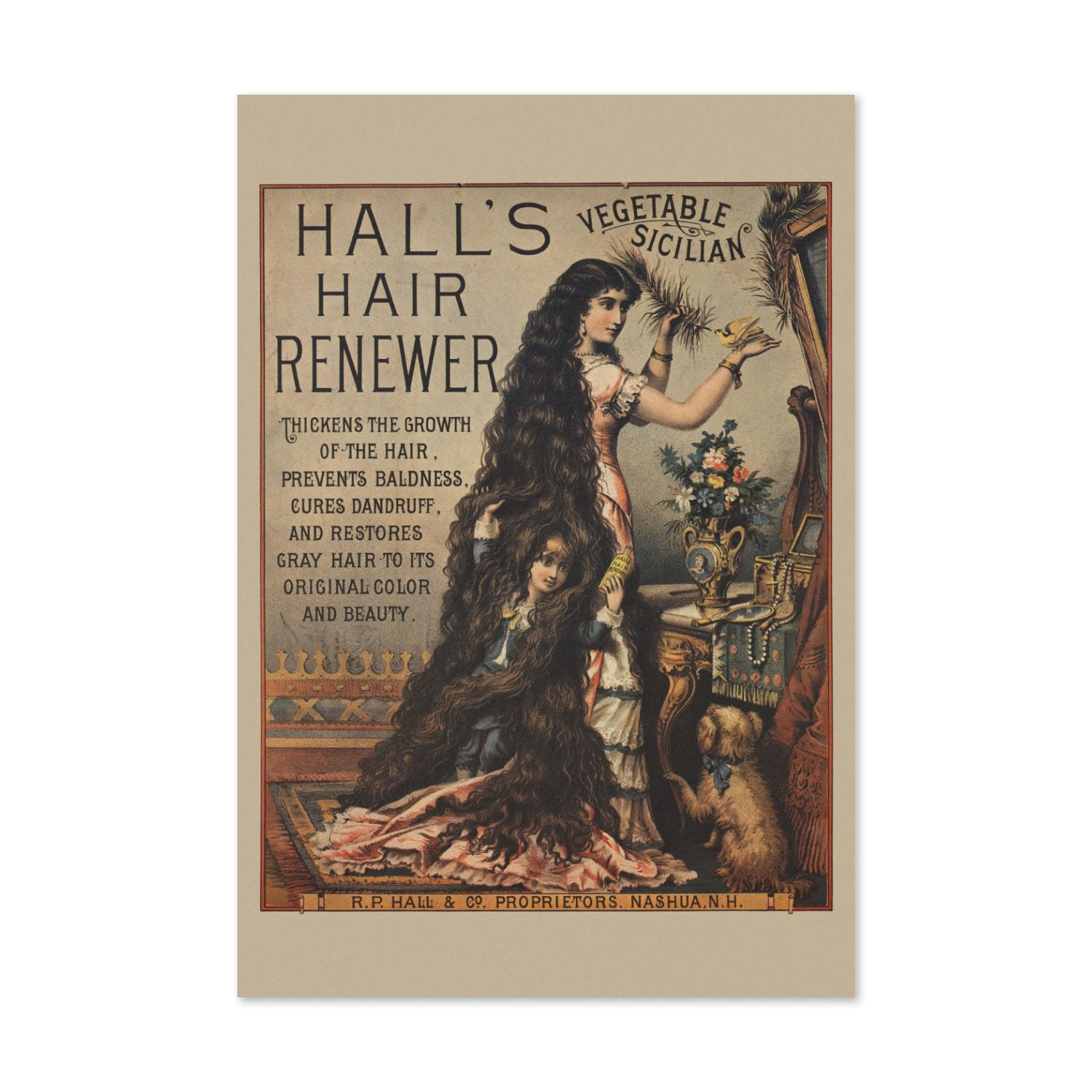 Halls Hair Renewer poster print
