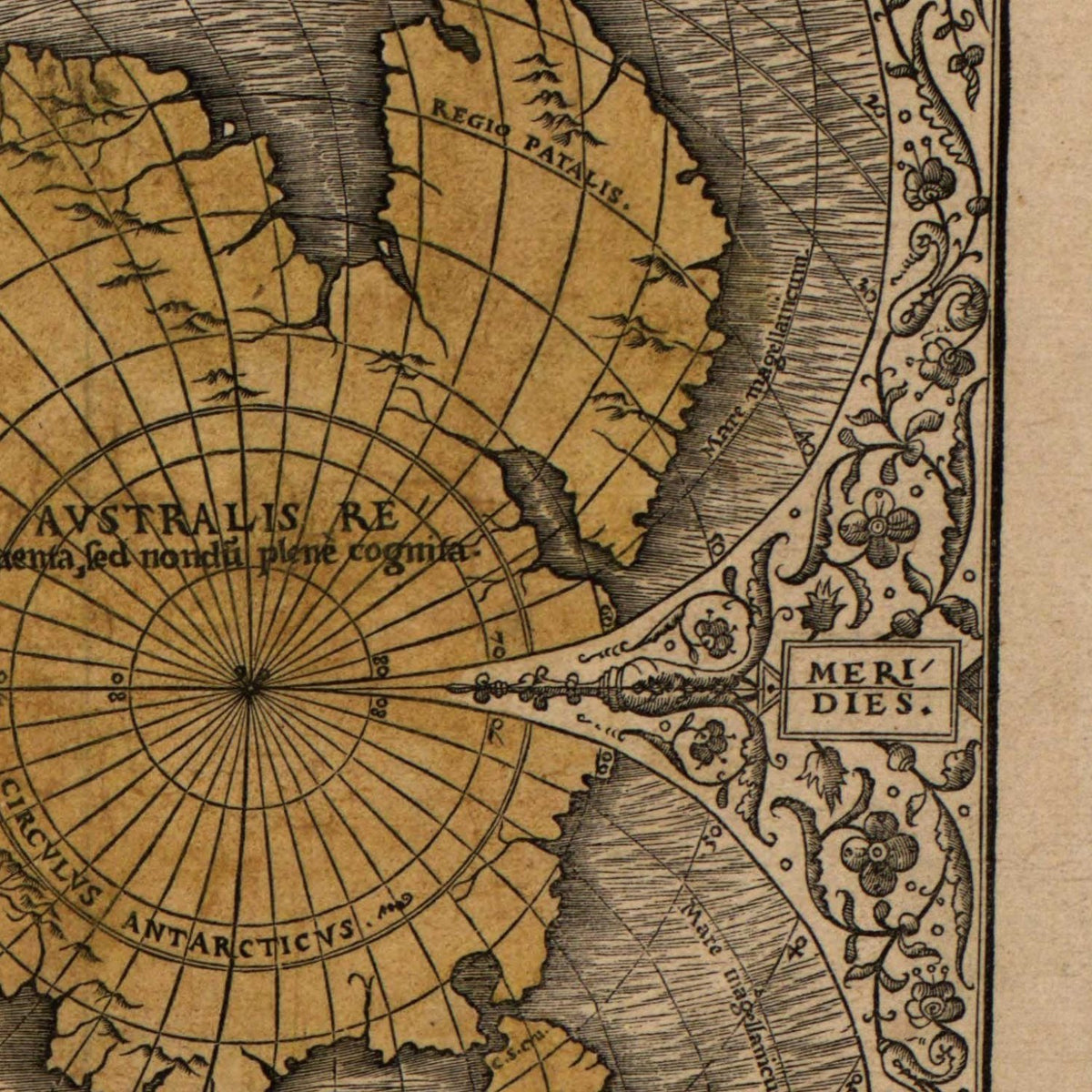 Close-up detail of the Heart-Shaped World Map 1531 print
