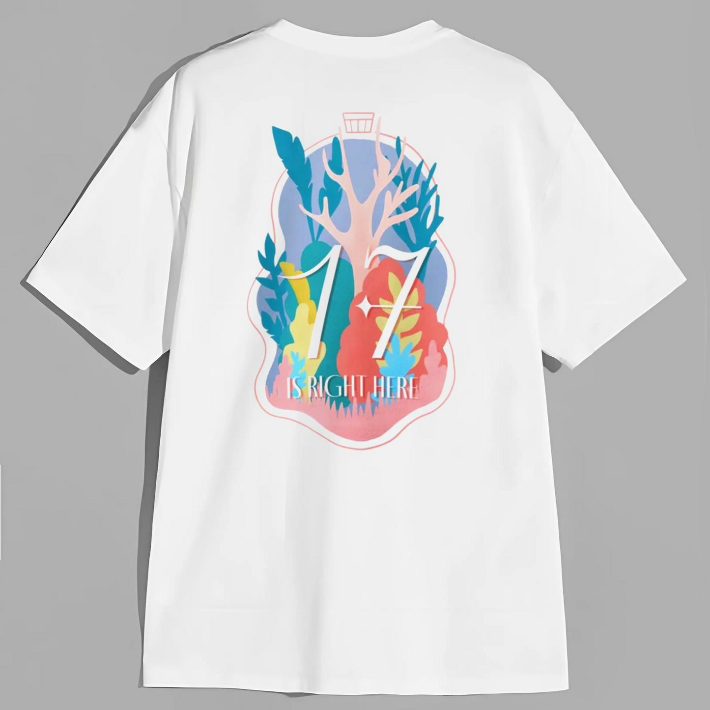 Graphic Seventeen Right Here World Tour Shirt, Seventeen Kpop Shirt