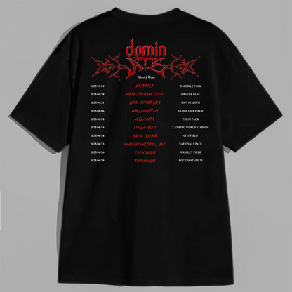 Stray Kids DominATE World Tour Shirt, Stray Kids Shirt, Kpop Fan Shirt
