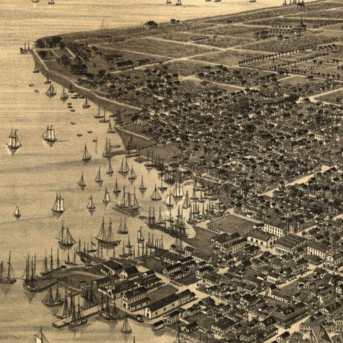 Close-up detail of the Key West 1884 Panoramic Map print