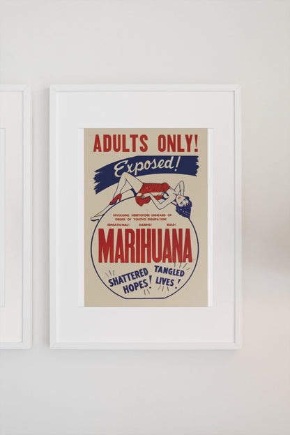 Marihuana Exposed poster on a light wall