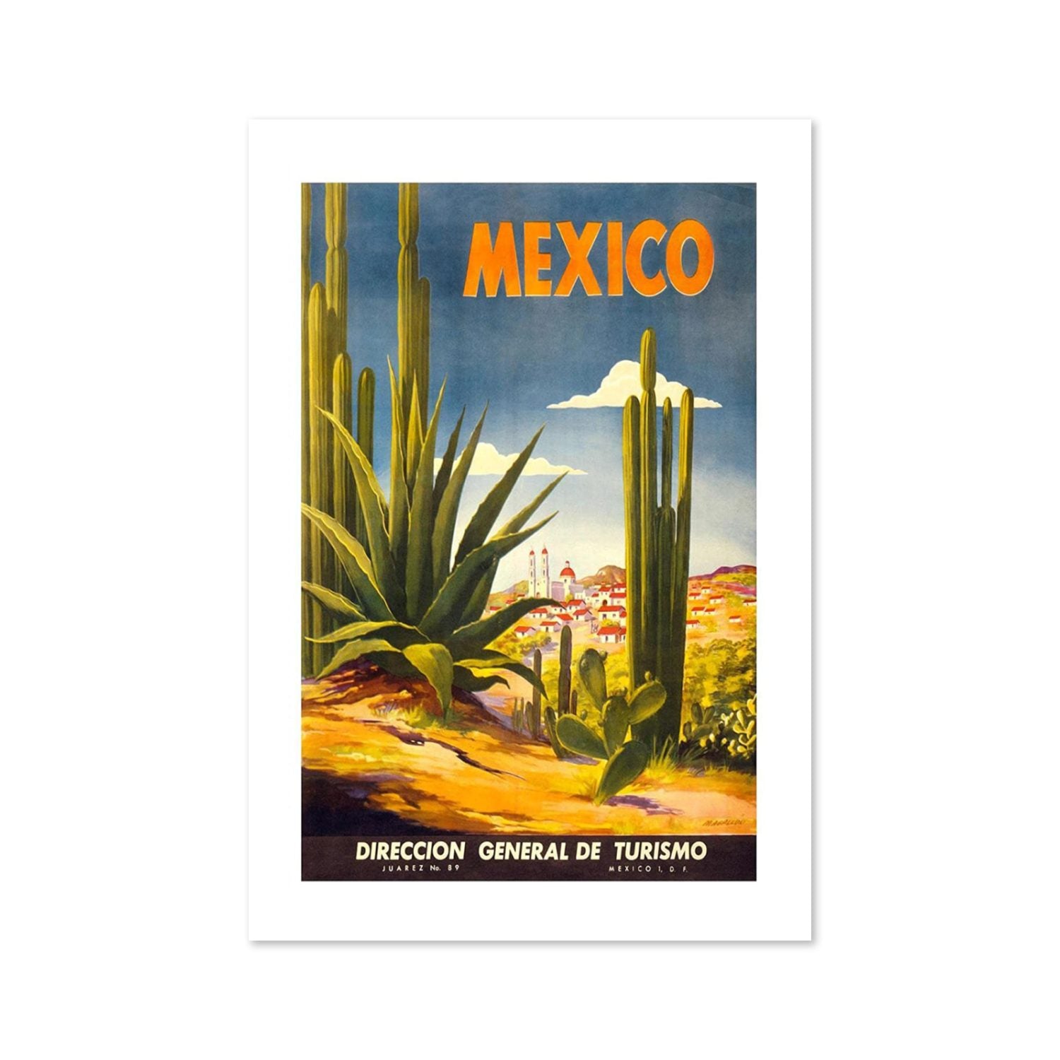 Mexico Agave Cactus poster print