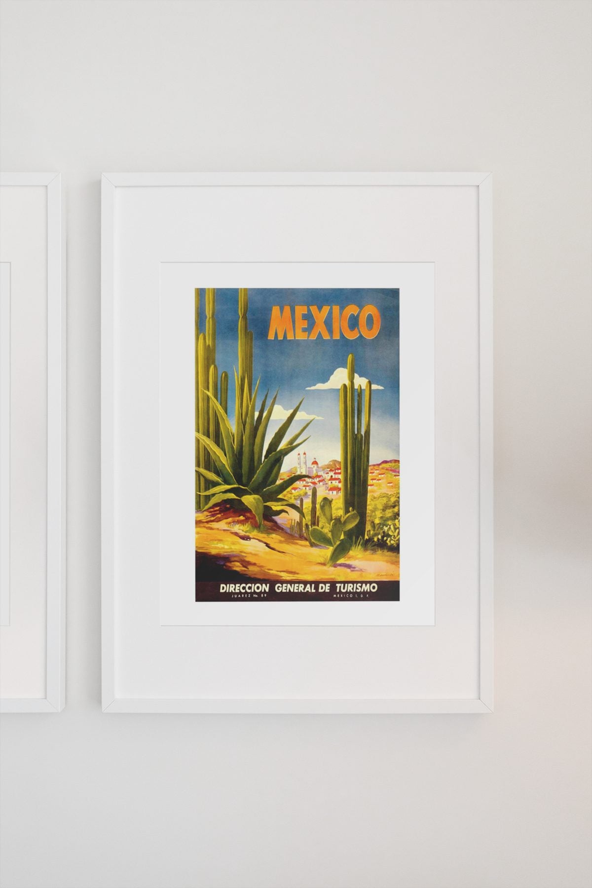 Mexico Agave Cactus poster on a light wall