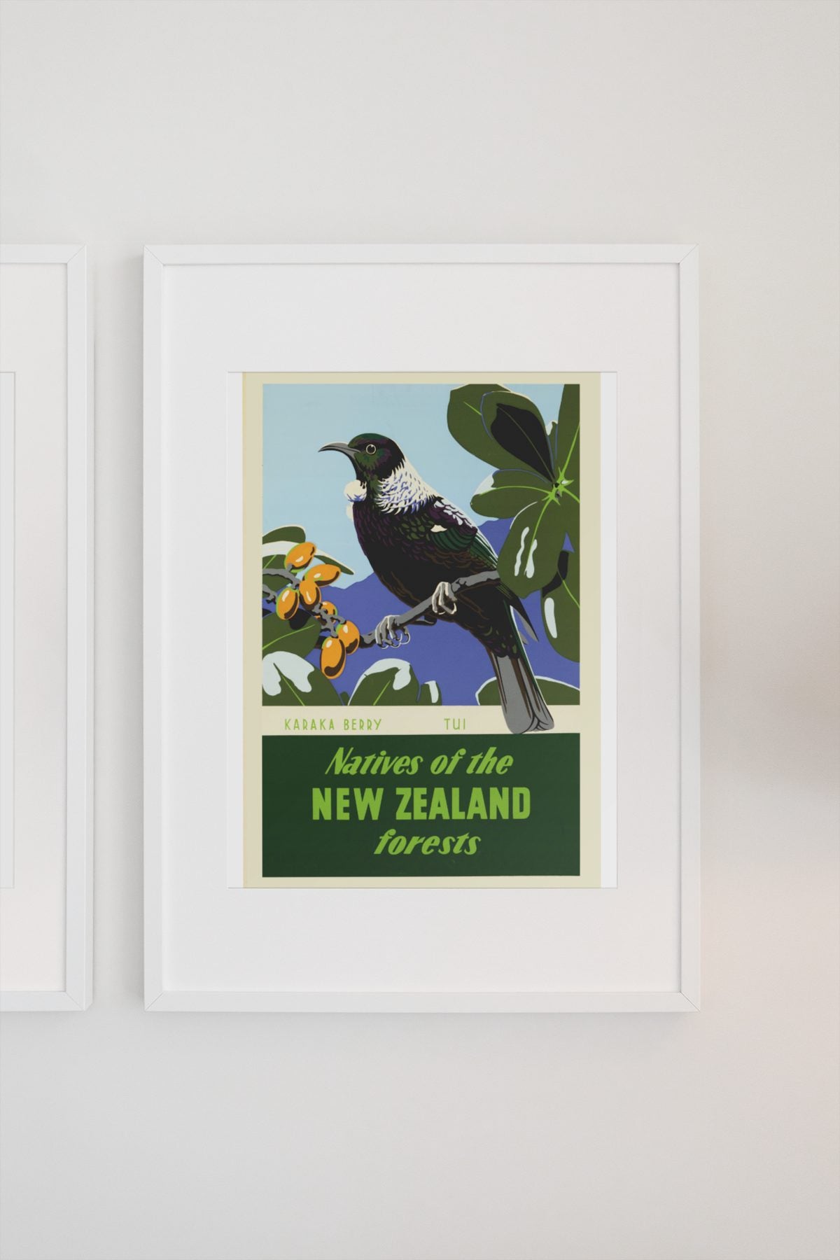 New Zealand Tui Bird poster on a light wall