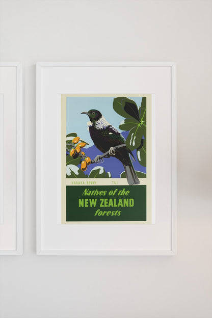New Zealand Tui Bird poster on a light wall