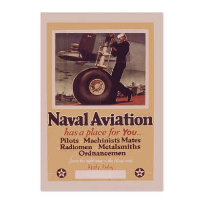 Naval Aviation Has a Place for You poster print